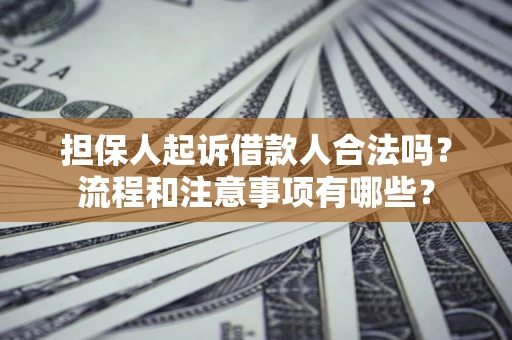 武汉担保人起诉借款人合法吗？流程和注意事项有哪些？