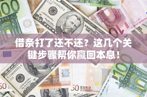 武汉借条打了还不还？这几个关键步骤帮你赢回本息！