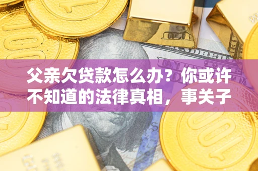 武汉父亲欠贷款怎么办？你或许不知道的法律真相，事关子女未来