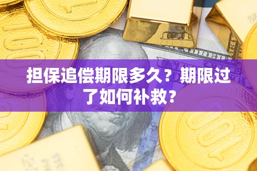 武汉担保追偿期限多久？期限过了如何补救？