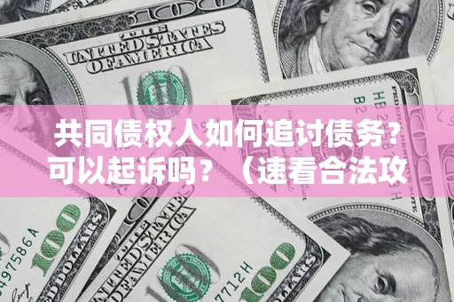 武汉共同债权人如何追讨债务？可以起诉吗？（速看合法攻略）
