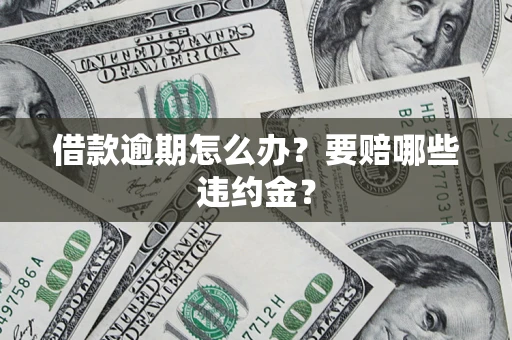 武汉借款逾期怎么办？要赔哪些违约金？