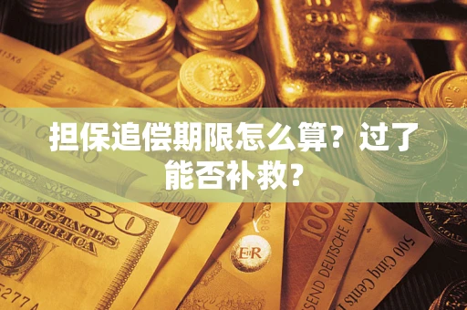 武汉担保追偿期限怎么算？过了能否补救？